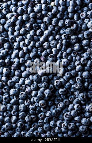 Frische Heidelbeeren Stockfoto