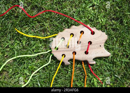 Natürliche Holzschnürung Spielzeug Igel für die Ausbildung Feinmotorik, Hand Auge Koordination, mathematische Fähigkeiten. Montessori-Materialien. Entwicklung, edu Stockfoto