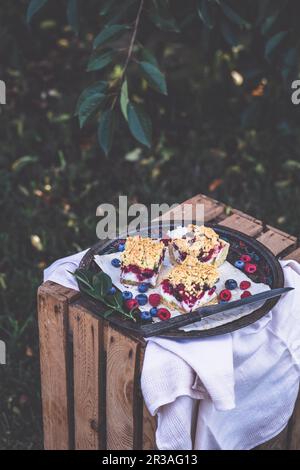 Sommerkuchen mit Heidelbeeren und Himbeeren Stockfoto