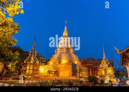 Goldener Chedi Phrathatluang der buddhistischen Tempelanlage Wat Phra Singh in der Anbenddämmerung, Chiang Mai, Thailand, Asien | Goldener Cheedi Phra Stockfoto