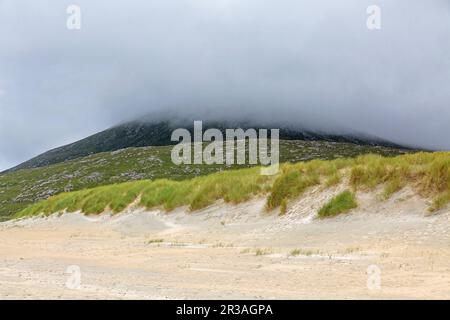 Dünen und Marram Grass, Low Stratus, Luskentyre Beach, Harris, Isle of Harris, Hebriden, Äußere Hebriden, Westliche Inseln, Schottland, Vereinigtes Königreich Stockfoto