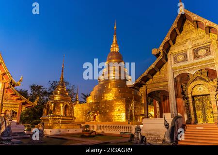 Die buddhistische Tempelanlage Wat Phra Singh in der Abenddämmerung, Chiang Mai, Thailand, Asien | der buddhistische Tempelkomplex Wat Phra Singh at d Stockfoto