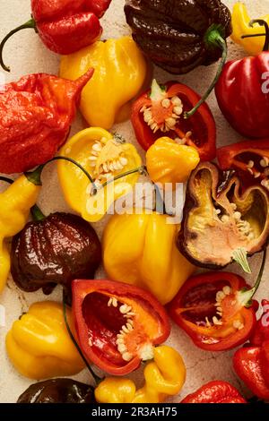 Eine bunte Mischung der heißesten Chilis auf dem Markt Stockfoto