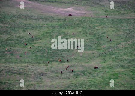 Parque Natural de Valderejo , municipio de Valdegovía, Alava, País Vasco, Spanien. Stockfoto