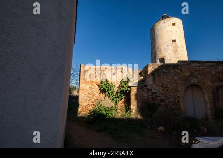 molino den Majora, Campos, Mallorca, balearen, Spanien. Stockfoto