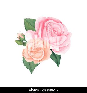 Aquarell rosa Rosen und grüne Blätter. Handgezeichnete Illustration für Grußkarten oder Hochzeitseinladungen auf isoliertem Hintergrund. Stockfoto