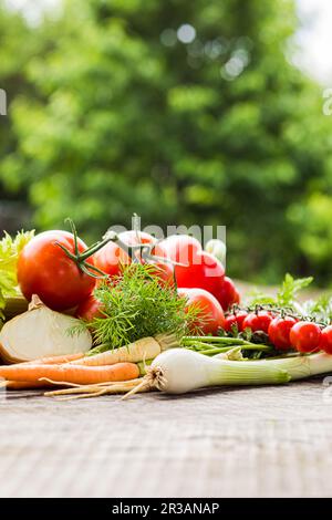 Stillleben Bio-Gemüse im Freien im Sommer Stockfoto