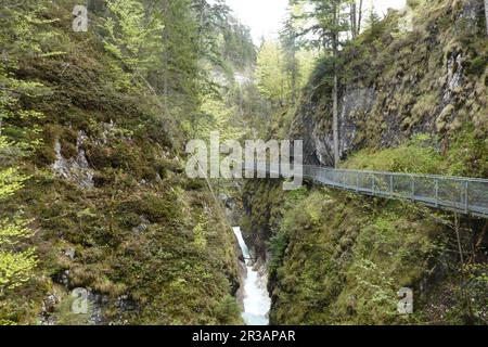 Die Leutasch-Schlucht bei Mittenwald, Bayern Tiroler Grenze, die längste zugängliche Schlucht in Europa. Stockfoto