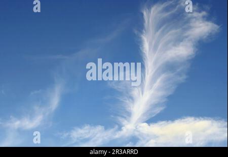 Schicke vertikale Cirrus-Wolken in einem hellblauen Sommerhimmel Stockfoto