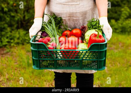 Set von wunderbaren Gemüse in ökologischen Bedingungen angebaut Stockfoto