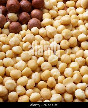 Macadamianüsse mit und ohne Schale (Füllbild) Stockfoto