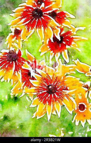 Aquarelldarstellung von Gartenblumen der Rudbeckia. Die Blumen von Rudbeckia fulgida, der orangefarbene Knabe Stockfoto