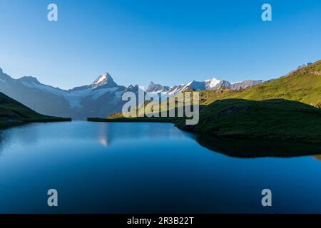 Blick auf den Sonnenaufgang auf die Berner Bergkette über dem Bachalpsee. Höchste Gipfel Eiger, Jungfrau und Faulhorn an berühmter Stelle. Schweizer alpen, Grindelwald vall Stockfoto