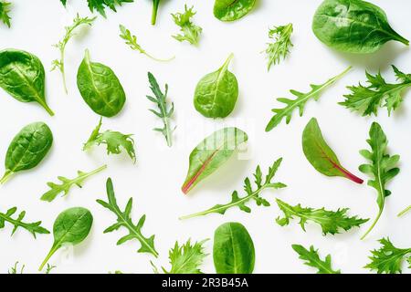 Romaine, Rucola, Spinat und mizuna-Blätter Stockfoto