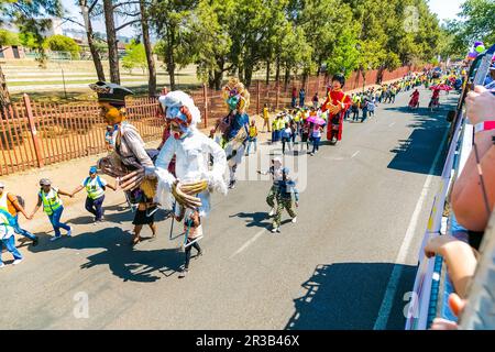 Schwimmer und schicke Kostüme beim Gauteng Carnival in Pretoria Stockfoto