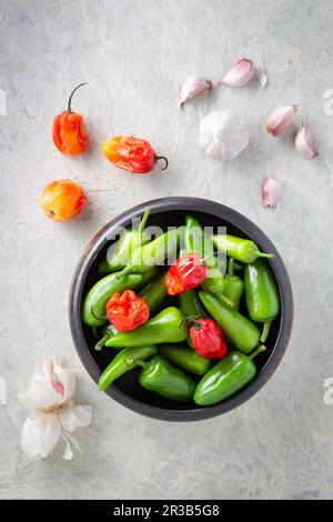 Verschiedene rote und grüne Chili-Paprika Stockfoto