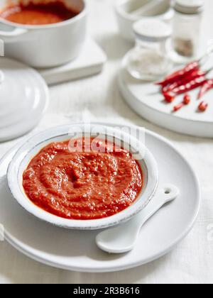 Selbstgemachtes Ketchup Stockfoto