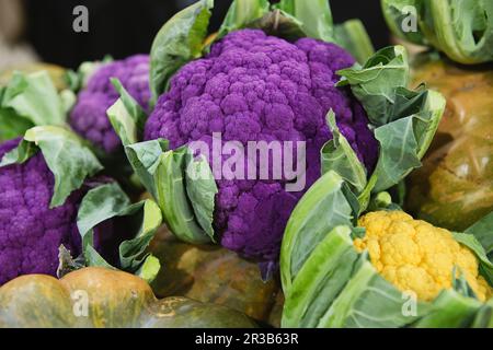 Gemüsehintergrund. Ein Haufen lila, grüner, orangefarbener Blumenkohl auf dem Bauernmarkt Stockfoto