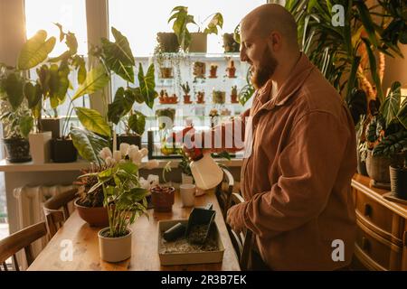 Bärtiger Mann, der zu Hause Wasser auf Pflanzen spritzt Stockfoto