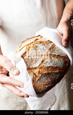 Baker hält frisch gebackenes Brot Stockfoto