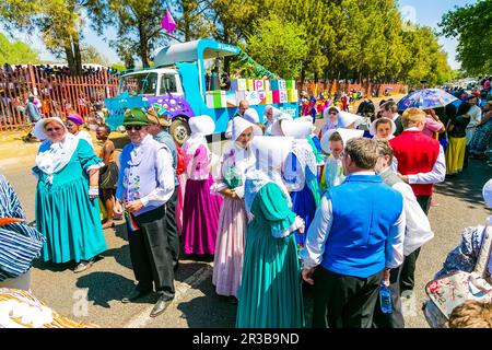 Schwimmer und schicke Kostüme beim Gauteng Carnival in Pretoria Stockfoto