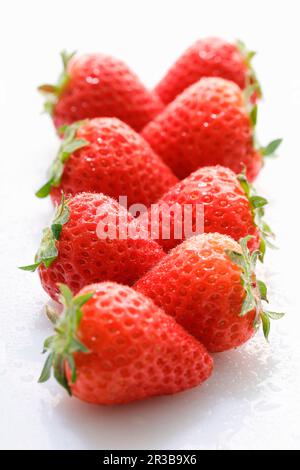 Zwei Reihen frisch gewaschener Erdbeeren Stockfoto