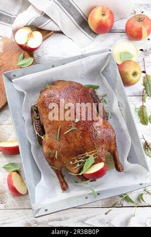 Gebratene Ente mit Äpfeln Stockfoto