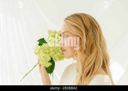 Frau mit geschlossenen Augen, die Hortensien-Blüte riecht, durch einen durchsichtigen Vorhang Stockfoto