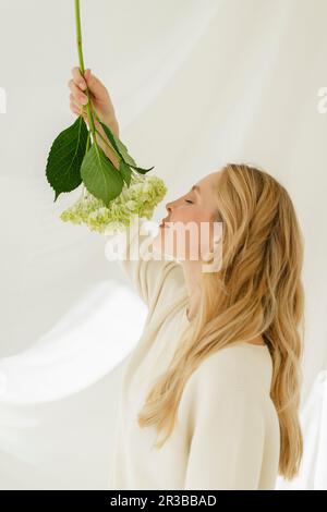Eine blonde Frau, die Hortensien riecht, an einem durchsichtigen Vorhang Stockfoto