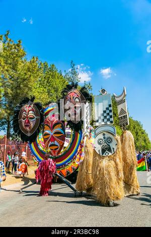 Schwimmer und schicke Kostüme beim Gauteng Carnival in Pretoria Stockfoto