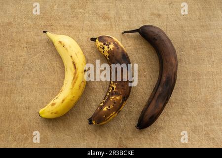 Drei Bananen in verschiedenen Reifungsstadien Stockfoto
