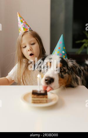 Mädchen mit australischem Schäferhund vor Geburtstagskuchen auf dem Tisch Stockfoto