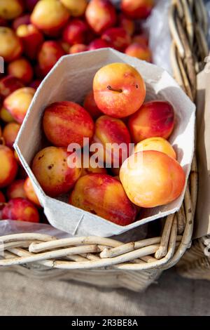 Gelbe Pflaumen in einer Schale aus Pappe Stockfoto