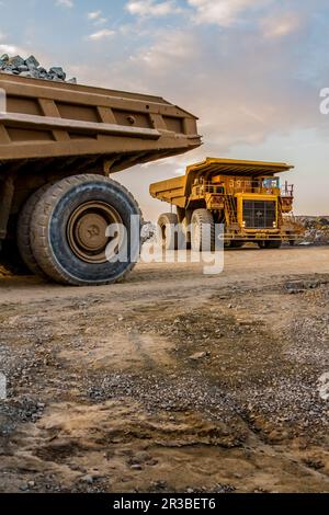 Muldenkipper für den Bergbau, die Platinerz zur Verarbeitung transportieren Stockfoto