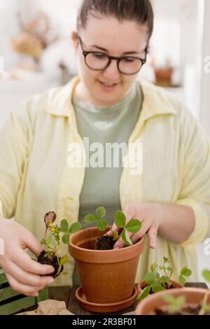 Eine Frau, die Erdbeerkeimlinge in Terrakotta-Topf auf dem Balkon pflanzt Stockfoto