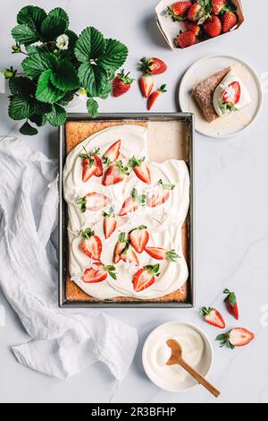 Erdbeertres leches Kuchen Stockfoto