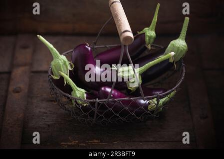 Finger-Aubergine Hansel F1 (Solanum melongena Hänsel F1) in einem Drahtkorb Stockfoto