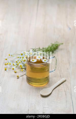 Kamillentee in eine Glasschale Stockfoto
