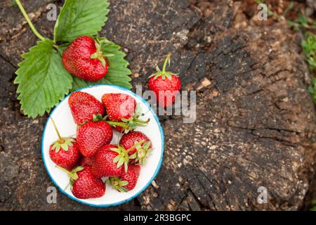 Köstliche saftige große Erdbeeren in einer alten Metallschüssel auf Holzhintergrund Stockfoto