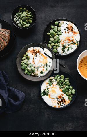 Türkische Eier mit dicken Bohnen mit Dill und schwarzem Kreuzkümmel Stockfoto