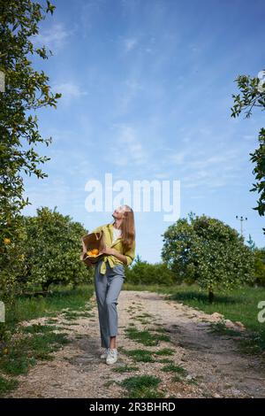 Eine Frau, die einen Orangenbaum ansieht und auf einem Fußweg in einem Obstgarten steht Stockfoto