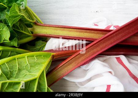 Stiele von frisch geerntetem Rhabarber Stockfoto