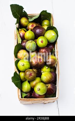 Ein Holzpanier gefüllt mit frisch gepflückten grünen und lila Feigen Stockfoto