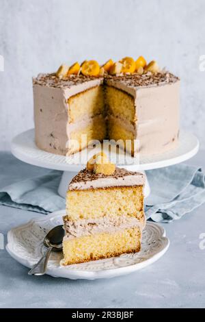 Vanille-Butter-Schwammkuchen mit Schokoladen-Nutella-Zuckerguss Stockfoto