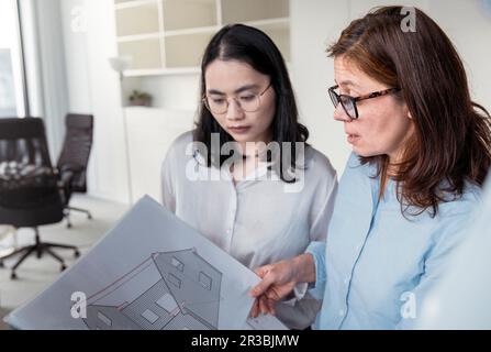 Zwei Geschäftsfrauen, die zusammen an einem Architekturprojekt im Amt arbeiten Stockfoto