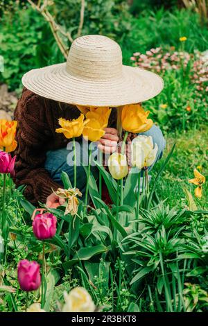 Frau mit Hut, die Tulpen im Garten riecht Stockfoto