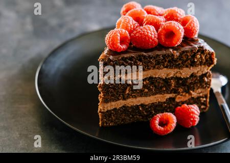 Schokoladenstückchen mit Dulce de leche Buttercreme, Ganache und Himbeere Stockfoto