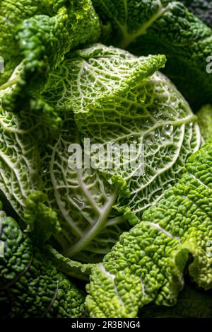 Makrodetails des Grünkohls Stockfoto