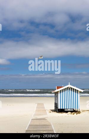 Beach Sea; Rocket Float Tower Stockfoto