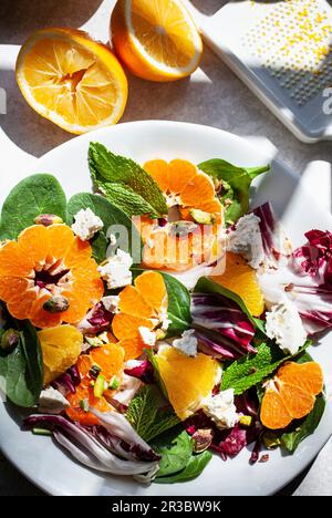 Salat mit Spinat, Radicchio, Orange, Clementine, Pistazien und Feta Stockfoto
